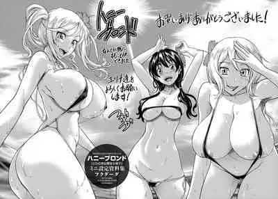 Honey Blonde Toranoana Gentei Shousasshi Mini Settei Shiryoushuu