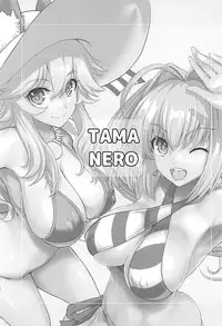 (C94) [Uguisuya (Uguisu Kagura)] TAMANERO (Fate/Grand Order)