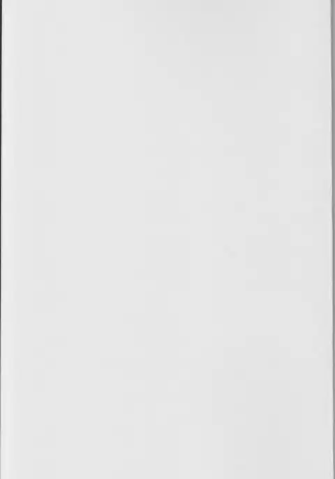 [Keisotsu na Ana Boku ni wa Tairyoku ga nai!!!