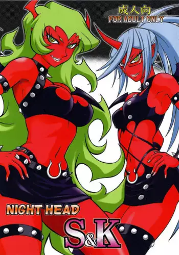 (C79) [Circle Taihei-Tengoku (Aratamaru)] NIGHT HEAD S&K (Panty & Stocking with Garterbelt) [English] [4dawgz + FUKE]