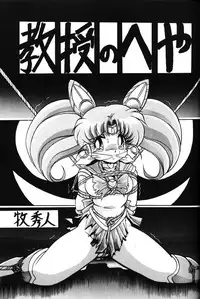 (C49) [Thirty Saver Street 2D Shooting, Studio Z-Agnam (Various)] 2D-Shooting (Sailor Moon)