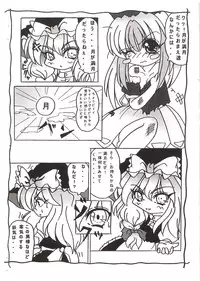 (SC25) [D-Club (D-ALICE)] Touhou Rankasai (Touhou Project)