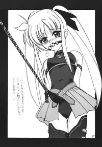 [Thirty Saver Street 2D Shooting] Storage Ignition 3 (Mahou Shoujo Lyrical Nanoha / Magical Girl Lyrical Nanoha)