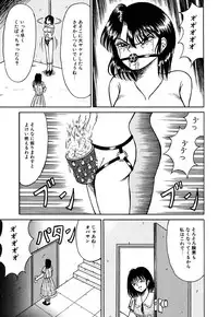 [Kesshousui] Otome no Seikanritsu