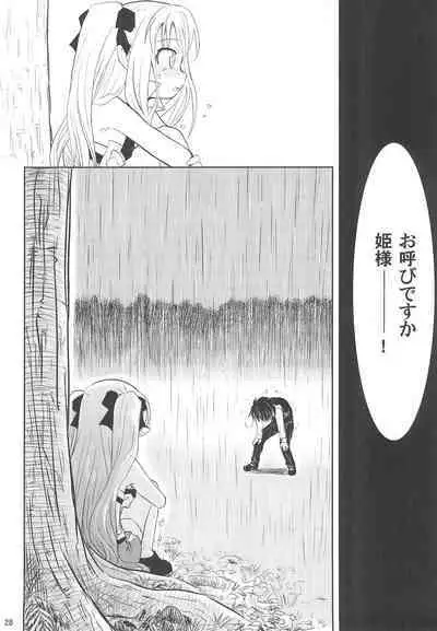 Maigo no Maigo no Hime-sama Plus