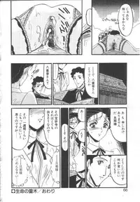 [Komura Saki] Kindan no Shinen nite