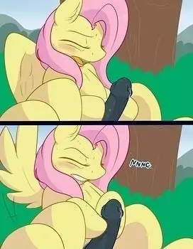 Futashy