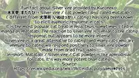 [Suzuhane Suzu] Boy Meets Nyaa God | Boy meets Cat Goddess (COMIC ExE 04) [English] [Redlantern] [Digital]