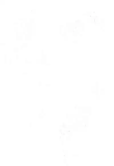 (C45) [STUDIO ST. WONDERLAND 203 (Fumizuki Kou)] NO BRAND