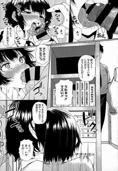 Gal ni Zettai, Koishinasai