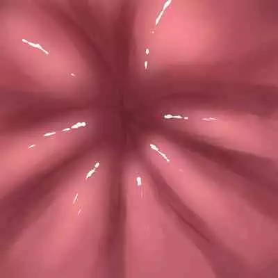 [Purekonkon] Vore