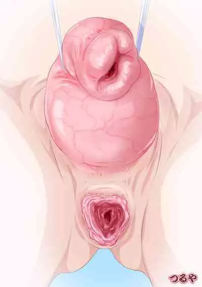 INSIDES - Onnanoko no Nakami Marumie Mook