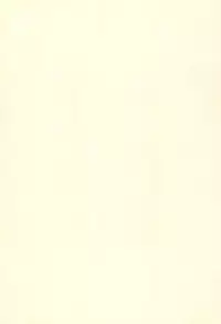 (C67) [Yanasegawabeya (KIYOSE, U-Tom)] LITTLE LOVERS 5