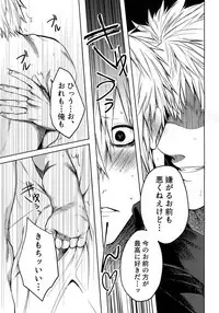 Leucocyte no Fuan Zairyou