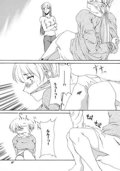 (CR33) [F-A (Honoutsukai)] Xs