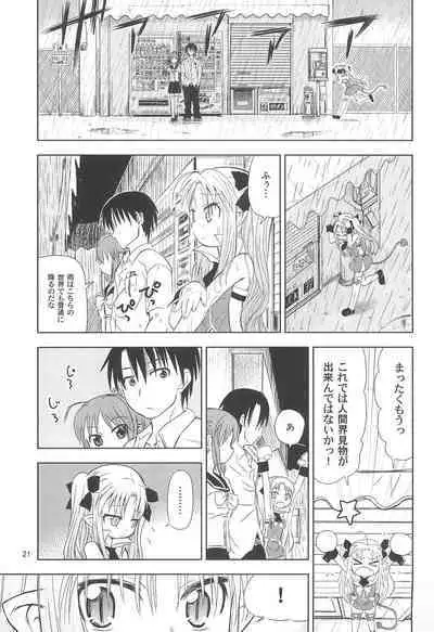 Maigo no Maigo no Hime-sama Plus