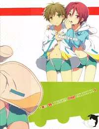 (CCFukuoka33) [96。 (Kurokuma)] Naisho no Soudan (Free!)