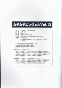 (C71) [MuchiMuchi7 (Hikami Dan, Terada Tsugeo)] MuchiMuchi Angel Vol. 13 (Bleach)