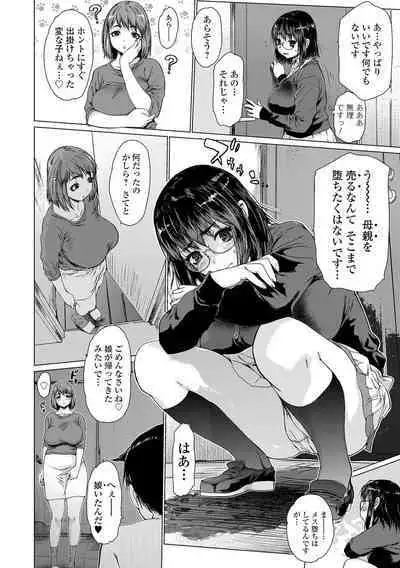 Mesu Shiko