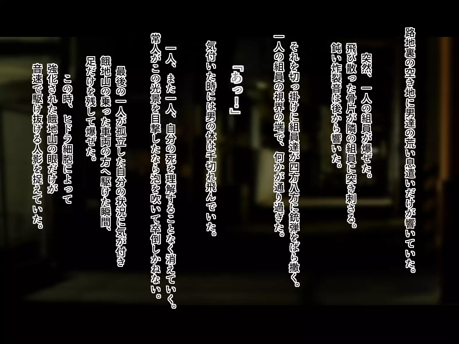 Tokumei Ninja Raiden