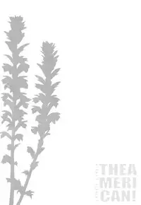 (C90) [odin (Kurokawa IZUMI)] CUTE GIRL! THE AMERICAN! (Kantai Collection -KanColle-) [Chinese] [無毒汉化组]