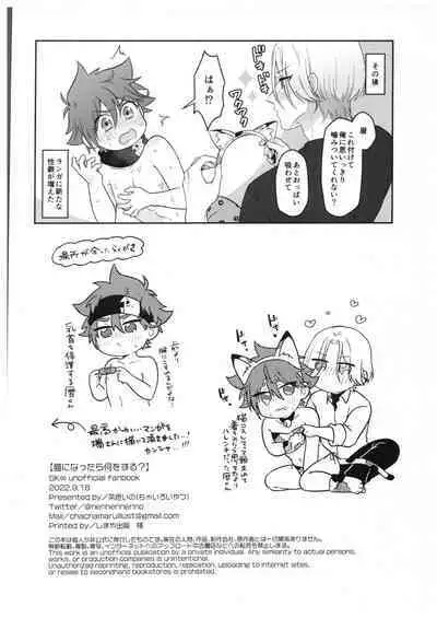 Neko ni nattara nani o suru?