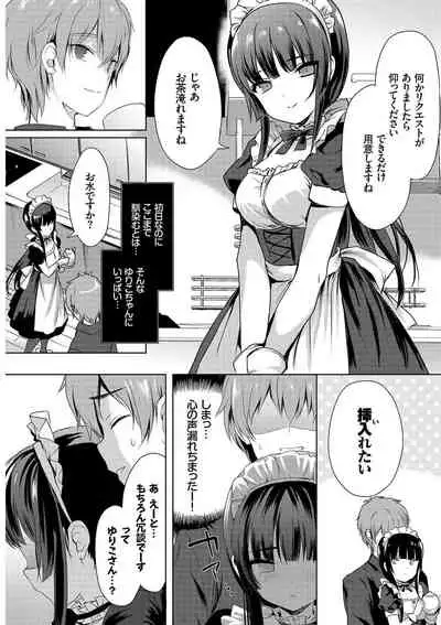 Nikutai Gohoushi ga Daisukikei Maid