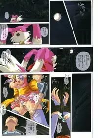 (C71) [Cyclone (Izumi, Reizei)] Rare Quaderno (Magical Kanan)