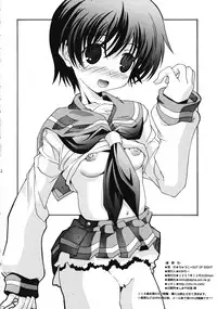 (C73) [Chuuni+OUT OF SIGHT (Kim Chii)] Renkaihou (Saki)