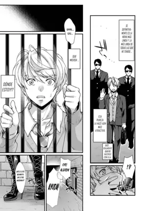 Retsujouhan Choukyouroku Bouryaku no Futanari Kougyaku español