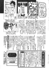 Men's Dolphin 2000-11 Vol. 15