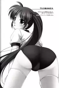 (COMIC1☆3) [K-Drive (Narutaki Shin)] Shitsumukan no Sodate Kata (Mahou Shoujo Lyrical Nanoha)