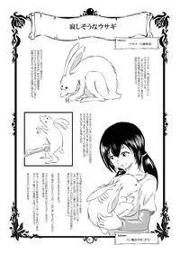 [Erotic Fantasy Larvaturs] Rabata Monster Zukan Ishu Wakan