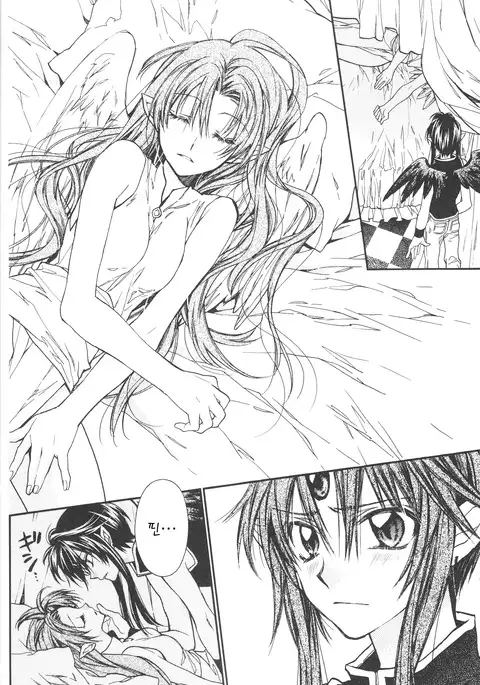 Tenshi to Yakusoku no Rondo <Team Janus>