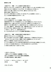 (Reitaisai 2) [Takakuya (Takaku Toshihiko)] Touhou Youjo Ranbu 2 (Touhou Project)