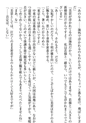 年上メイドの新婚日記
