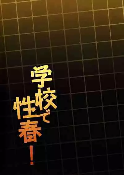 (C103) [OTOMEKIBUN (Sansyoku Amido.)] Gakkou de Seishun! 19 [Chinese] [白杨汉化组]