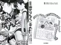 [THE SEIJI] Karin to. 1