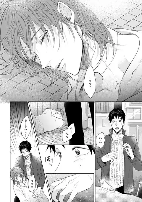 Nyaa to Nakukara Aishiteyo