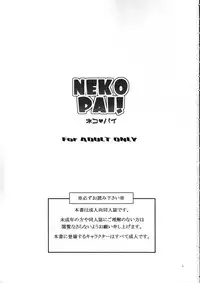 (C72) [AZA+ (Yoshimune)] NEKOPAI! (Final Fantasy XI)