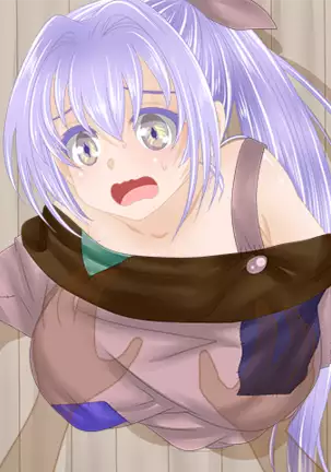 Wake Ari shimai no mura kaitaku funtouki