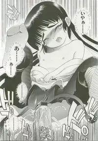 Comic LO 2007-12 Vol. 45