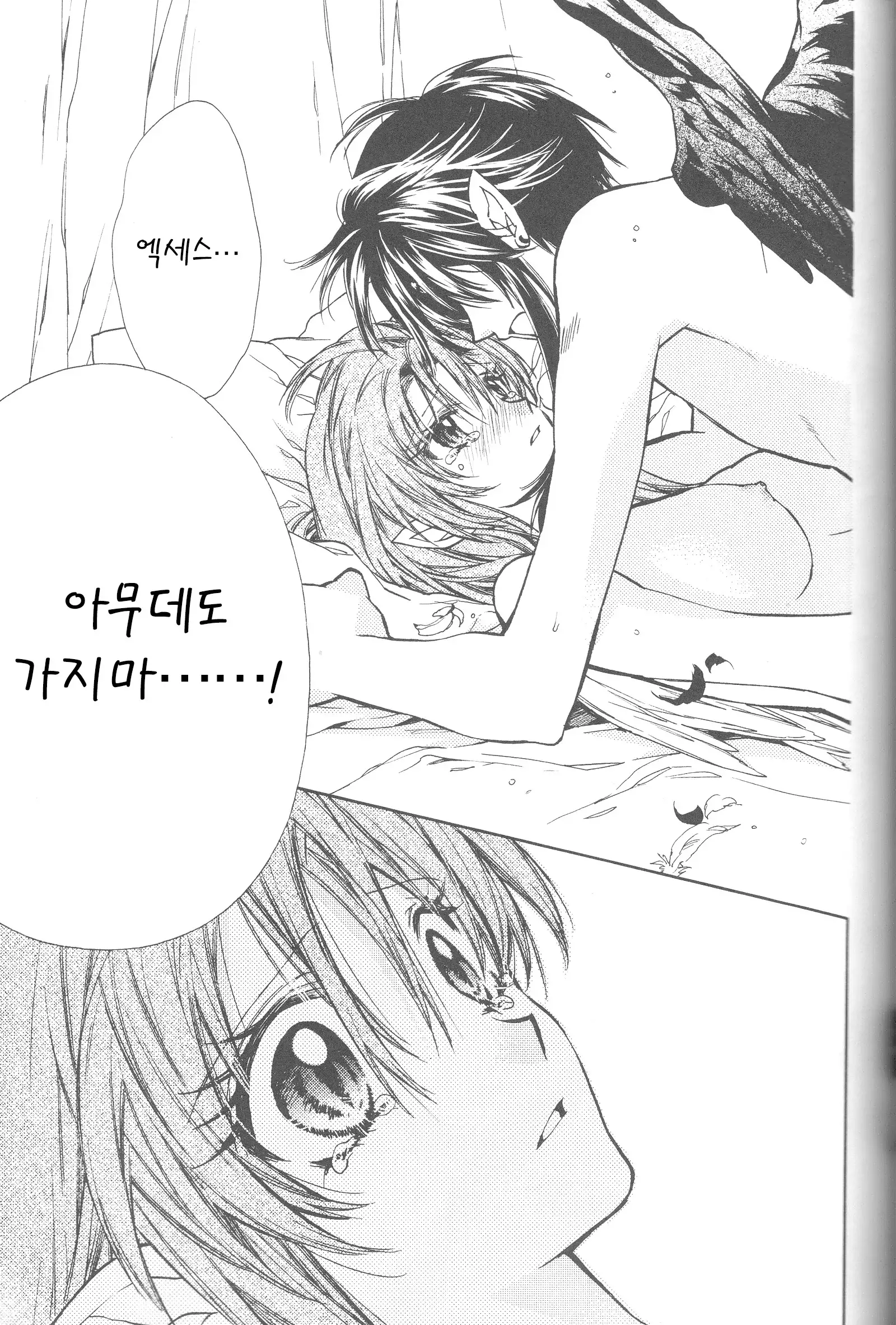 Tenshi to Yakusoku no Rondo <Team Janus>