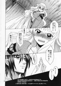 (C82) [Toko-ya (HEIZO, Kitoen)] Saint Foire Festival／eve Evelyn