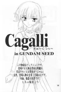 (SC21) [Studio Q (Natsuka Q-Ya)] Cagalli Mark 2 (Mobile Suit Gundam SEED)