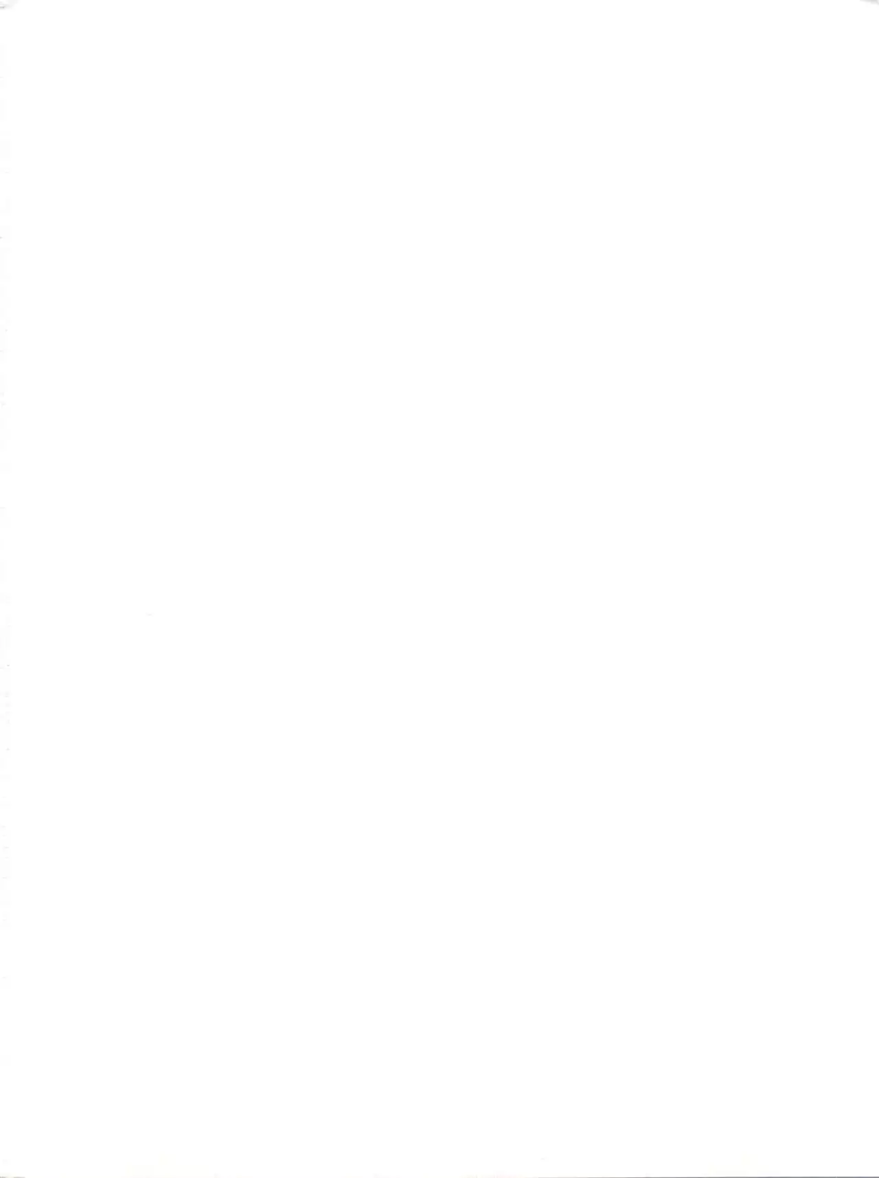 Nogaremono Nan Demo-R