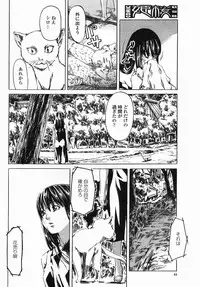 COMIC Himezakura 2005-04 Vol. 4