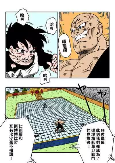 Videl vs Spopovich