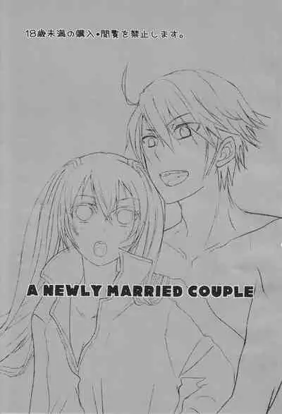 A Newly Married Couple
