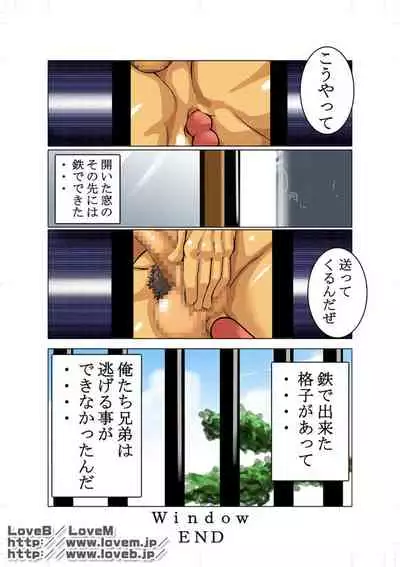 Window